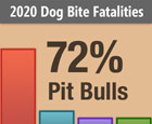 Pit Bull Attacks - Victims Of Dangerous Dog Attacks