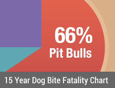 U.S. Dog Bite Statistics - DogsBite.org