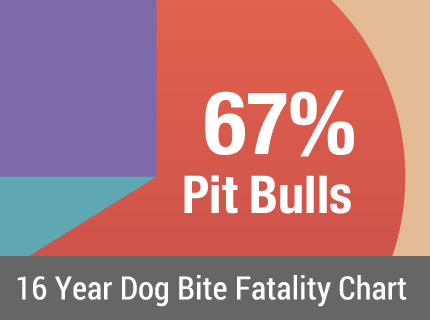 U.S. Dog Bite Statistics - DogsBite.org