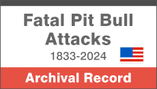 Fatal pit bull attacks